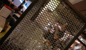 bickels-grand-cafe-beek-makado-impressie00007.jpg